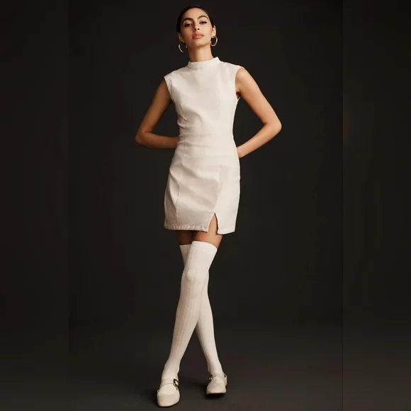 NWT Anthropologie Mock-Neck Sleeveless Seamed Dress - Large - Picture 4 of 6